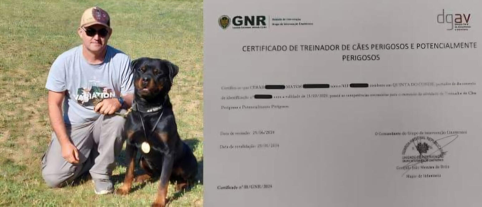 Certificado de Treinador de Cães Perigosos e Potencialmente Perigosos
